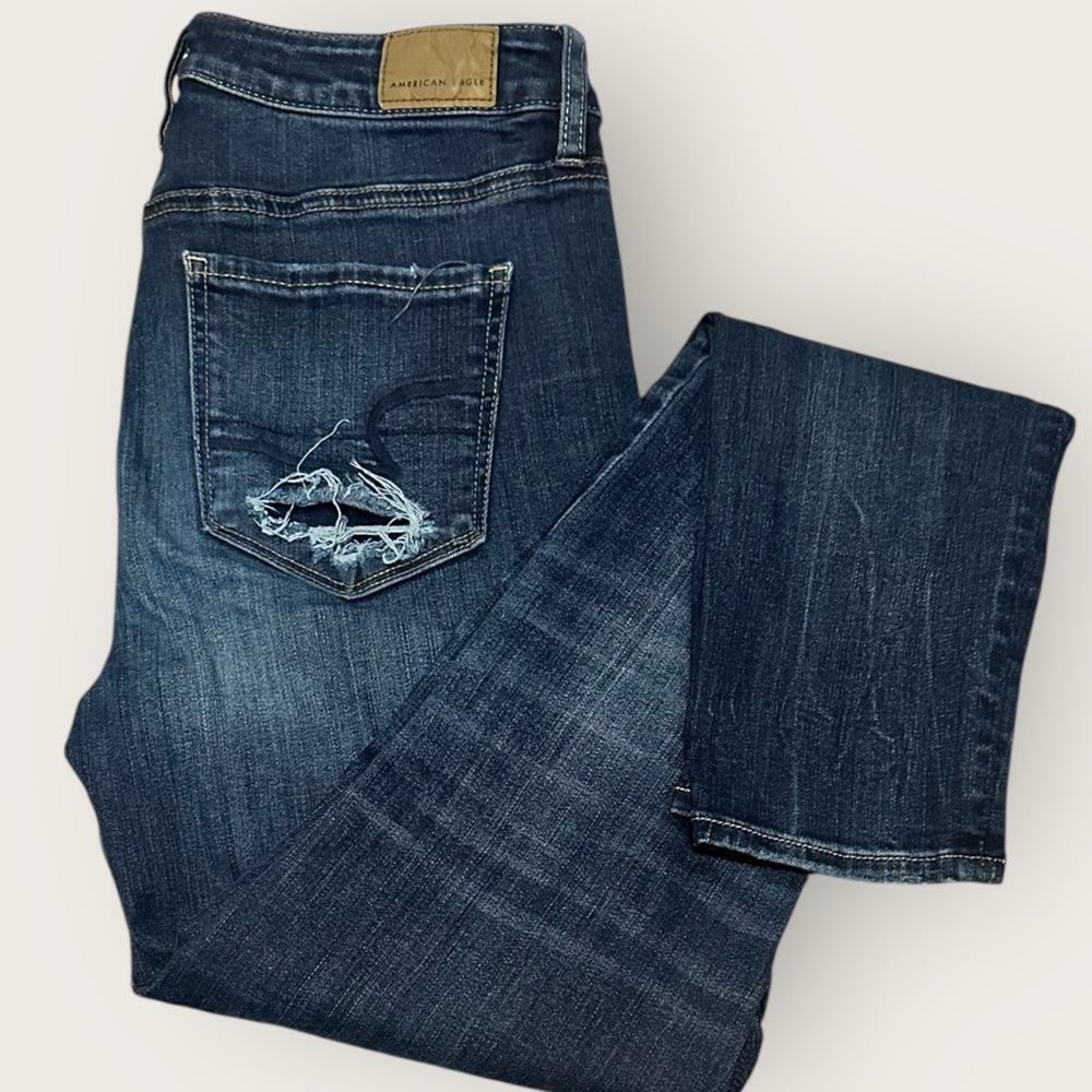 American Eagle Outfitters 10 Long Embroidered Flowers High Rise Distressed Jeans